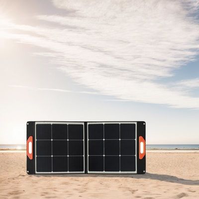 30W*2PCS Black Solar Panel Transforming the World with Renewable Energy